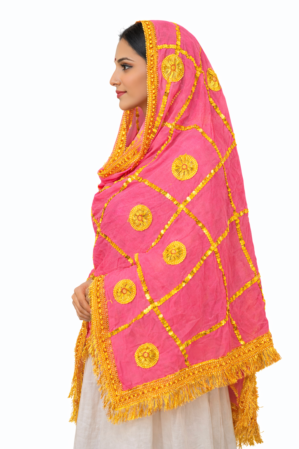 Daman Dupatta in Light Pink